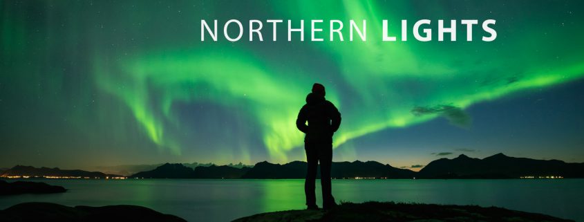 Lofoten Travel - Northern Lights