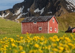 Seasons On Lofoten: Summer