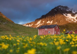 Myrland, Lofoten Islands, Norway