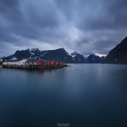 Red fishermen's Rorbu cabins over fjord, Hamnøy, Reine, Moskenesøy, Lofoten Islands, Norway