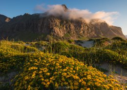 Horseid Beach Lofoten Islands
