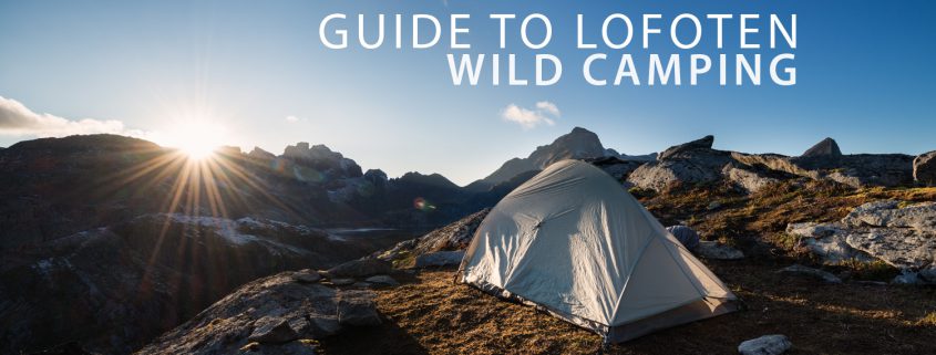 Wild Camping - Lofoten Islands