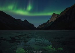 Horseid Aurora - Friday Photo #247