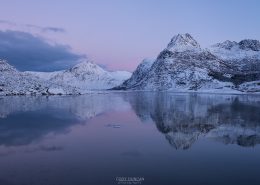 Polar Night - Friday Photo #256