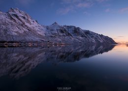 Polar Night - Firday Photo #259