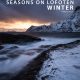Seasons On Lofoten: Winter