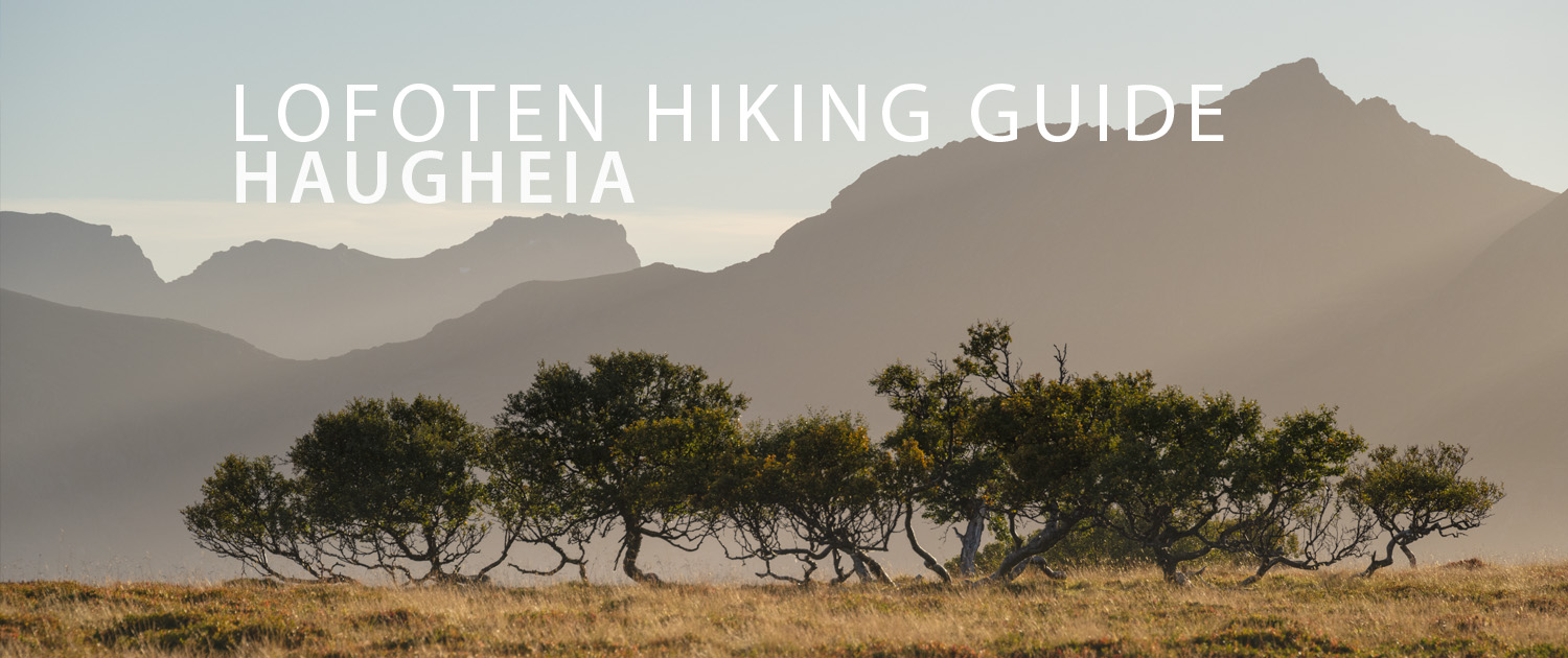Haugheia - Lofoten Hiking Guide