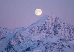 Winter Moon - Friday Photo #525