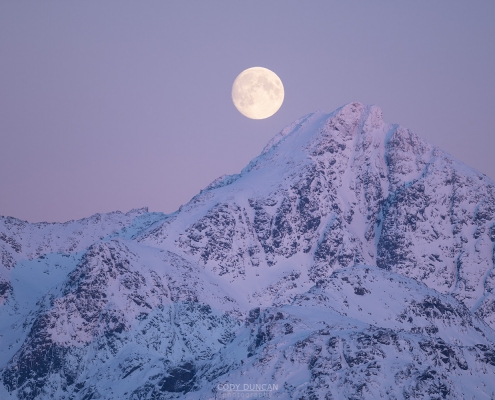 Winter Moon - Friday Photo #525