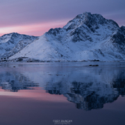Polar Night - Friday Photo #570