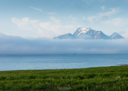 Summer Fog - Friday Photo #647