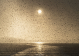 Vanishing Sun - Friday Photo #678