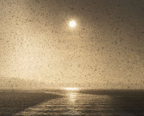 Vanishing Sun - Friday Photo #678