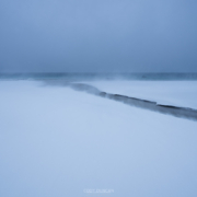 Windswept - Friday Photo #683