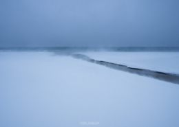 Windswept - Friday Photo #683