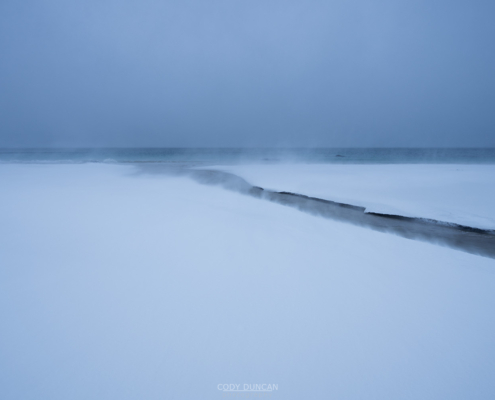 Windswept - Friday Photo #683