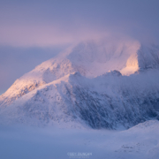 Pastel Dawn - Friday Photo #684