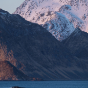 Nappstraumen - Friday Photo #692