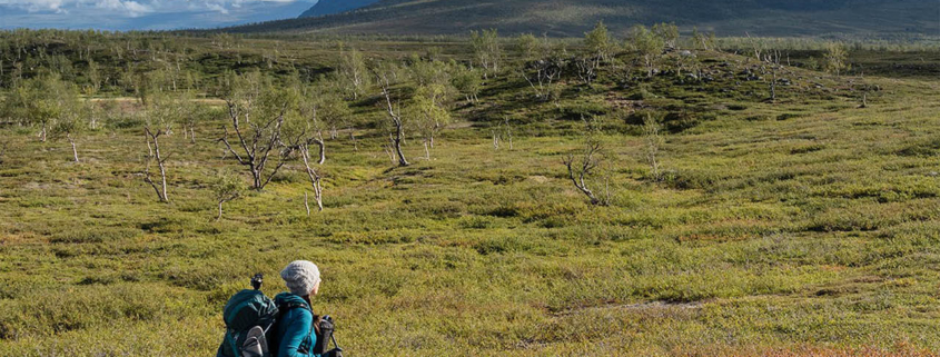 Padjelantaleden - Kvikkjokk to Ritsem