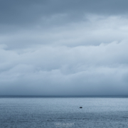 Summer Grey - Friday Photo #705
