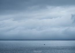 Summer Grey - Friday Photo #705