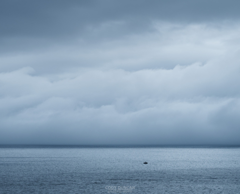 Summer Grey - Friday Photo #705