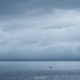 Summer Grey - Friday Photo #705