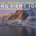 Lofoten Photo Tour - Amazing Views Tours Winter