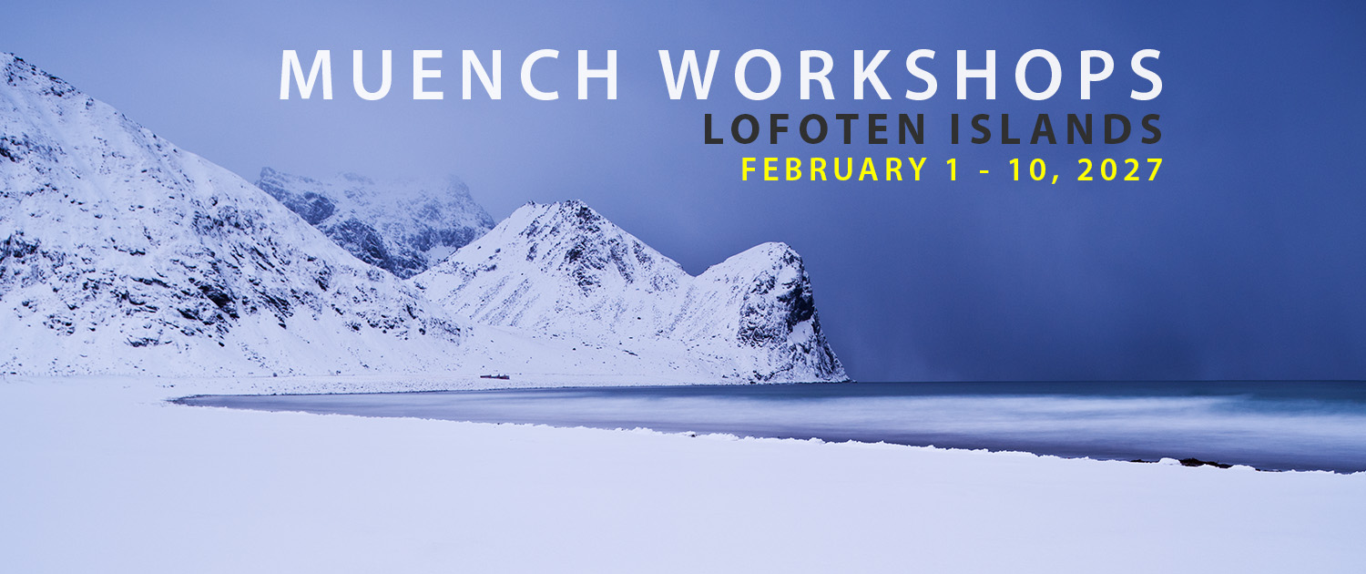 Muench Workshops Lofoten