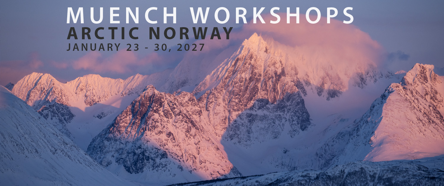Muench Workshops Lofoten