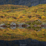 Autumn Reflection - Friday Photo #716