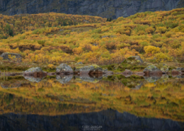 Autumn Reflection - Friday Photo #716