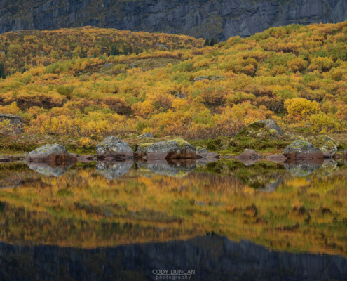 Autumn Reflection - Friday Photo #716