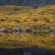 Autumn Reflection - Friday Photo #716